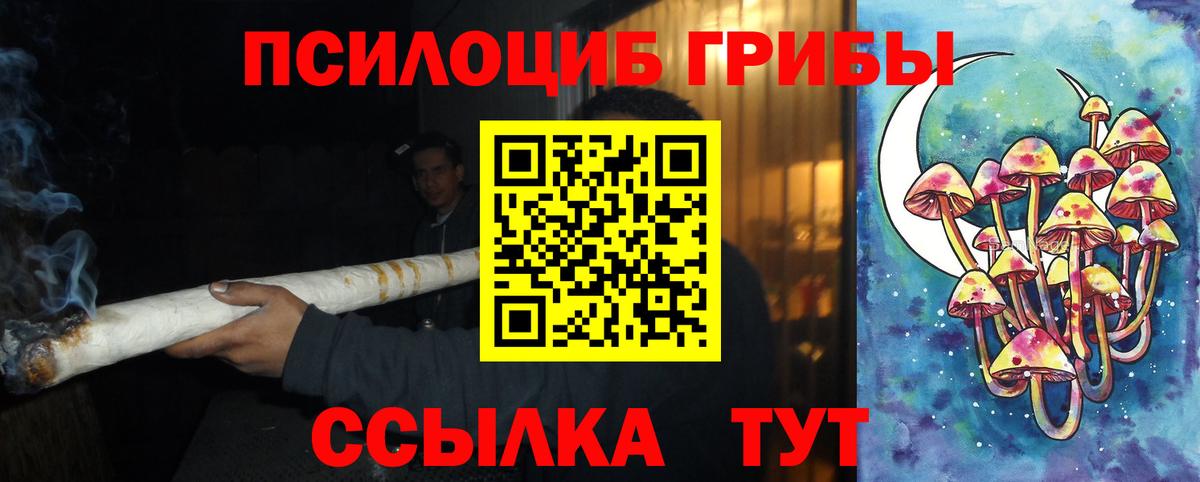 Галлюциногенные грибы Cubensis  продажа наркотиков  Алейск  Вход с VPN 